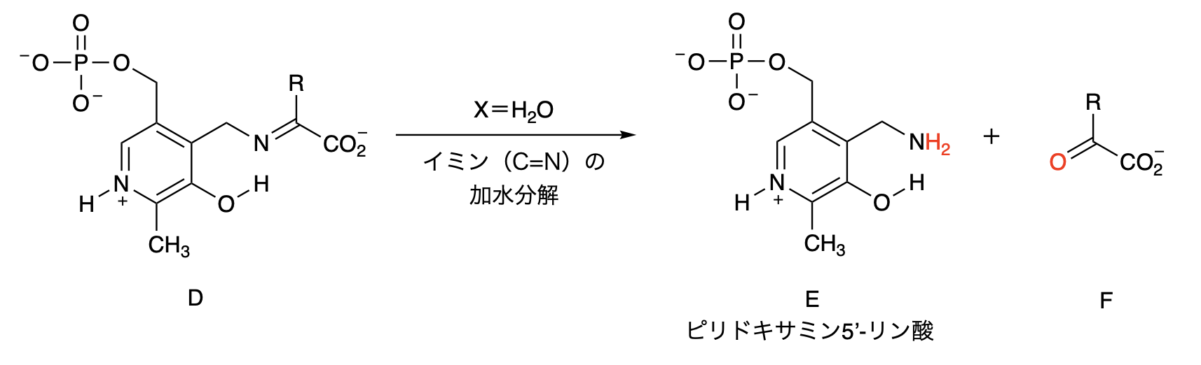 スクリーンショット 2026-07-01 16.32.02.png